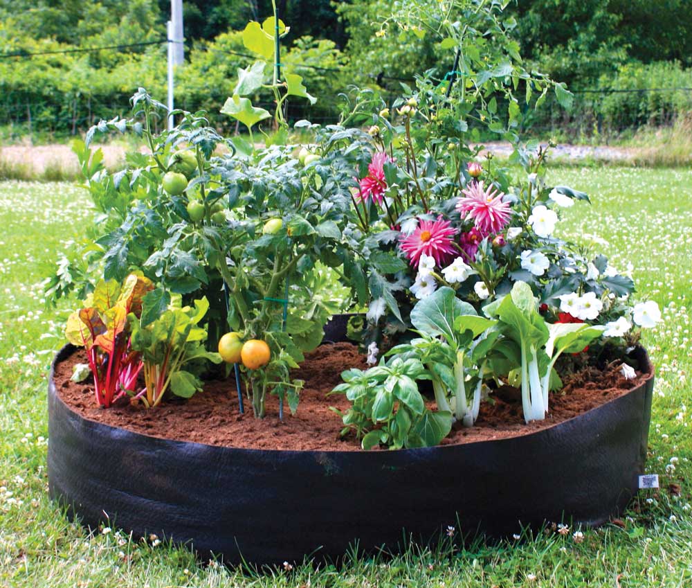 Photo of Big Bag Bed with vegetables