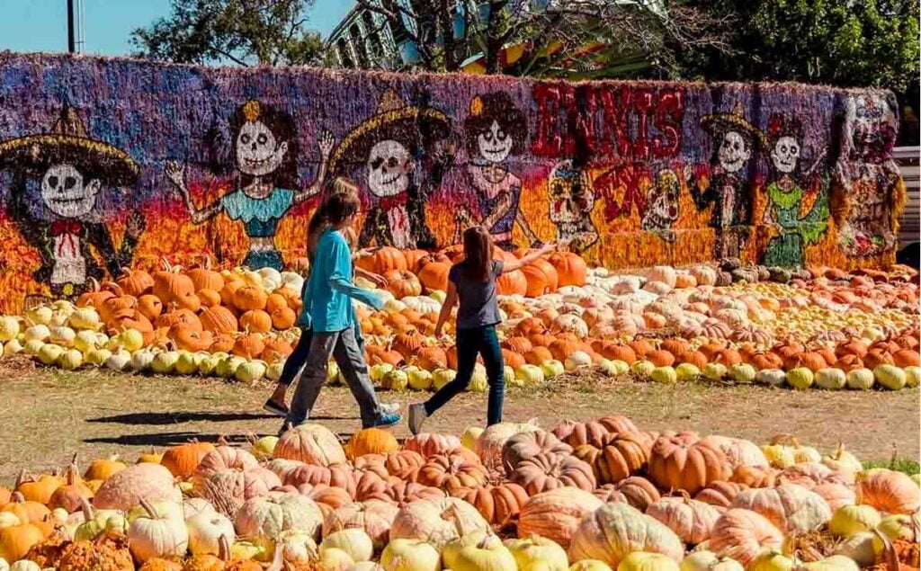 children walking through pumpkin patch