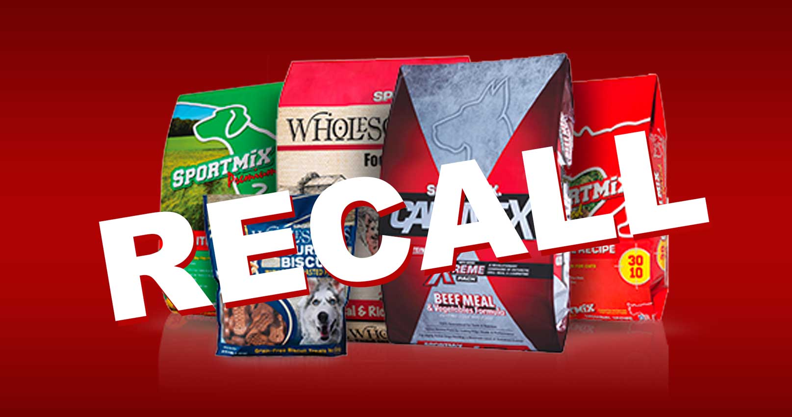 45 HQ Images Cat Food Recall October 2020 / Pet food recall after 28